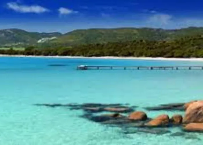 Bel Vue Vecchio 维琪奥港