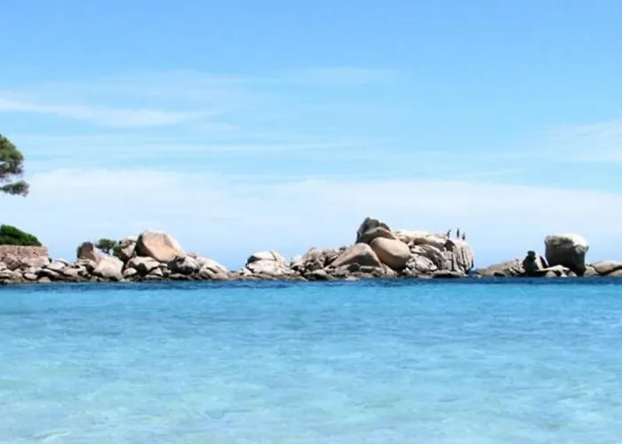 Bel Vue Vecchio * 维琪奥港